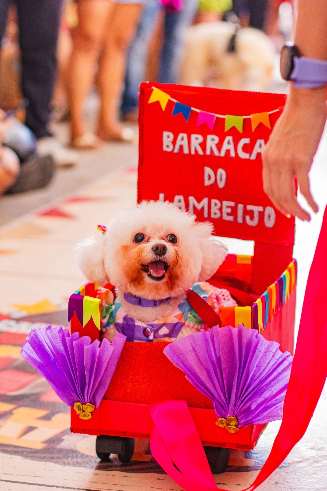 Carna Pet do Super Nova Era reúne desfile, adoção e vacinação gratuita neste sábado(21)